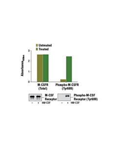 Cell Signaling Pathscan  Total Csf-1r/M-Csf-R Sandwich Elisa Kit