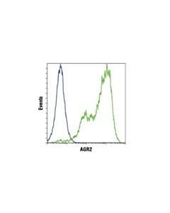 Cell Signaling Agr2 (D9v2f) Xp Rabbit mAb