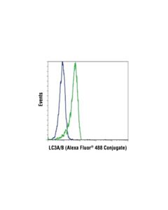 Cell Signaling Lc3a/B (D3u4c) Xp Rabbit mAb (Alexa Fluor 488 Conjugate)