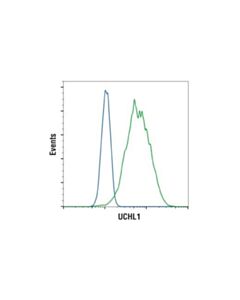 Cell Signaling Uchl1 (D3t2e) Xp Rabbit mAb
