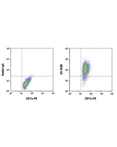 Cell Signaling Dc-Sign (D7f5c) Xp Rabbit mAb