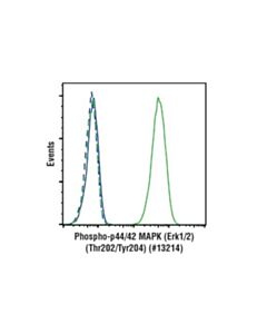 Cell Signaling Phospho-P44/42 Mapk (Erk1/2) (Thr202/Tyr204) (197g2) Rabbit mAb (Alexa Fluor  488 Conjugate)