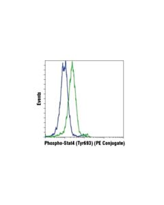 Cell Signaling Phospho-Stat4 (Tyr693) (D2e4) Rabbit mAb (Pe Conjugate)