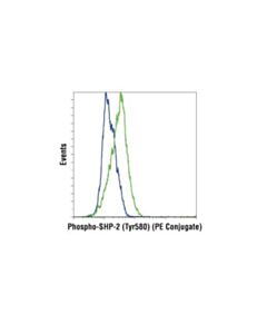 Cell Signaling Phospho-Shp-2 (Tyr580) (D66f10) Rabbit mAb (Pe Conjugate)