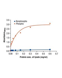 Cell Signaling Pathscan Phospho-Mer (Pantyr) Sandwich Elisa Kit
