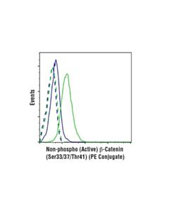 Cell Signaling Non-Phospho (Active) Beta-Catenin (Ser33/37/Thr41) (D13a1) Rabbit mAb (Pe Conjugate)