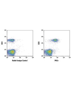 Cell Signaling Pkctheta (E1i7y) Rabbit mAb