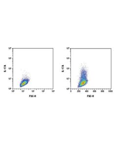 Cell Signaling Il-17a (D1x7l) Rabbit mAb (Mouse Specific)