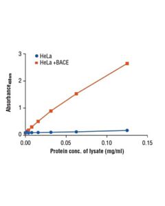 Cell Signaling Pathscan Total Bace Sandwich Elisa Kit