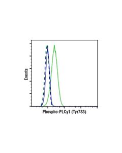 Cell Signaling Phospho-Plcgamma1 (Tyr783) (D6m9s) Rabbit mAb