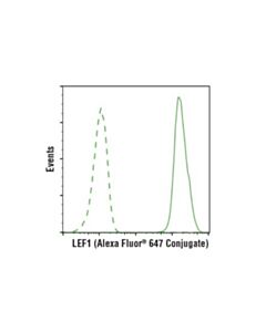 Cell Signaling Lef1 (C12a5) Rabbit mAb (Alexa Fluor  647 Conjugate)