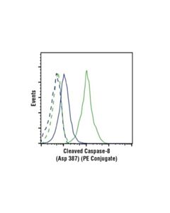 Cell Signaling Cleaved Caspase-8 (Asp387) (D5b2) Xp Rabbit mAb (Mouse Specific) (Pe Conjugate)