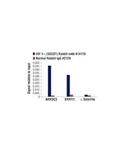 Cell Signaling Hif-1alpha (D2u3t) Rabbit mAb