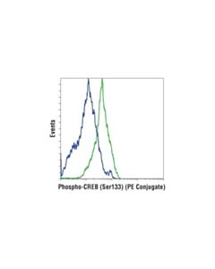 Cell Signaling Phospho-Creb (Ser133) (87g3) Rabbit mAb (Pe Conjugate)