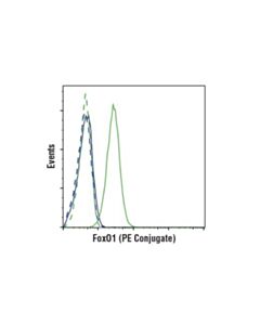 Cell Signaling Foxo1 (C29h4) Rabbit mAb (Pe Conjugate)