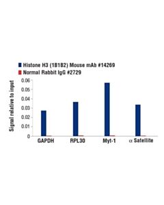 Cell Signaling Histone H3 (1b1b2) Mouse mAb
