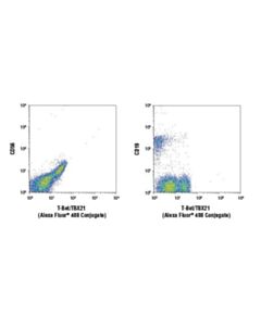 Cell Signaling T-Bet/Tbx21 (D6n8b) Xp Rabbit mAb (Alexa Fluor 488 Conjugate)
