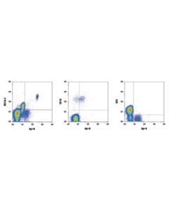 Cell Signaling Spi-B (D3c5e) Rabbit mAb