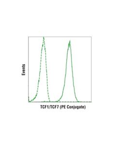 Cell Signaling Tcf1/Tcf7 (C63d9) Rabbit mAb (PE Conjugate)
