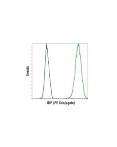 Cell Signaling Bip (C50b12) Rabbit mAb (Pe Conjugate)