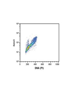 Cell Signaling Aurora A (D3e4q) Rabbit mAb