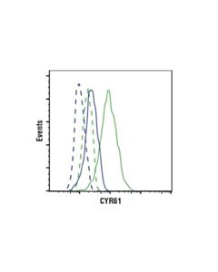 Cell Signaling Cyr61 (D4h5d) Xp Rabbit mAb