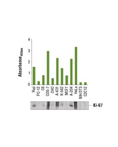 Cell Signaling Pathscan  Total Ki-67 Sandwich Elisa Kit