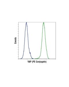 Cell Signaling Yap (D8h1x) Xp  Rabbit mAb (Pe Conjugate)