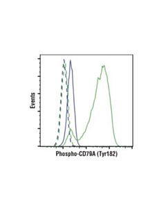 Cell Signaling Phospho-Cd79a (Tyr182) (D1b9) Rabbit mAb