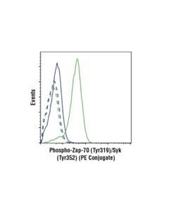 Cell Signaling Phospho-Zap-70 (Tyr319)/Syk (Tyr352) (65e4) Rabbit mAb (Pe Conjugate)