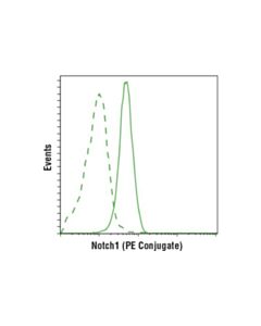 Cell Signaling Notch1 (D6f11) Xp Rabbit mAb (Pe Conjugate)