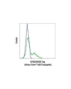 Cell Signaling Dykddddk Tag (D6w5b) Rabbit mAb (Binds To Same Epitope As Sigmas Anti-Flag  M2 Antibody) (Alexa Fluor  488 Conjugate)
