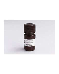 Cell Signaling Animal-Free Blocking Solution (5x)