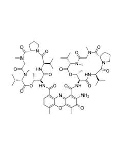Cell Signaling Actinomycin D