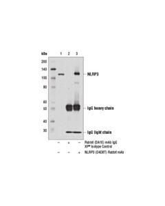 Cell Signaling Nlrp3 (D4d8t) Rabbit mAb