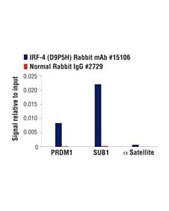 Cell Signaling Irf-4 (D9p5h) Rabbit mAb