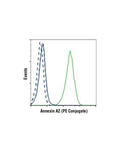 Cell Signaling Annexin A2 (D11g2) Rabbit mAb (PE Conjugate)