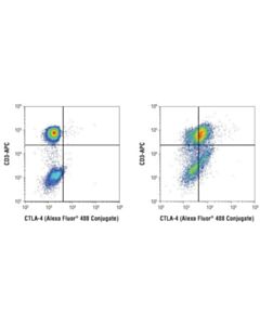 Cell Signaling Ctla-4 (D4e9i) Rabbit mAb (Alexa Fluor 488 Conjugate)