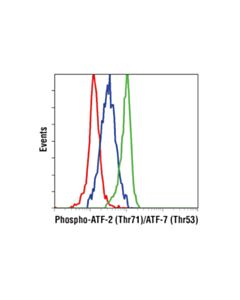 Cell Signaling Phospho-Atf-2 (Thr71)/Atf-7 (Thr53) (A8j7p) Rabbit mAb