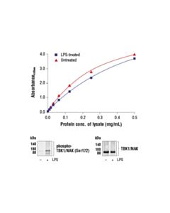 Cell Signaling Fastscan Total Tbk1/Nak ELISA Kit