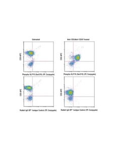 Cell Signaling Phospho-Slp-76 (Ser376) (D7s1k) Rabbit mAb (PE Conjugate)