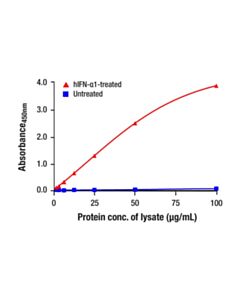 Cell Signaling Phospho-Stat2 (Tyr690) Matched Antibody Pair 1 Kit