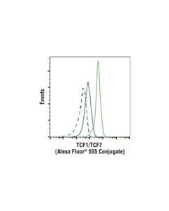 Cell Signaling Tcf1/Tcf7 (C63d9) Rabbit mAb (Alexa Fluor 555 Conjugate)