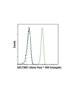 Cell Signaling Asc/Tms1 (D2w8u) Rabbit mAb (Mouse Specific) (Alexa Fluor® 488 Conjugate)