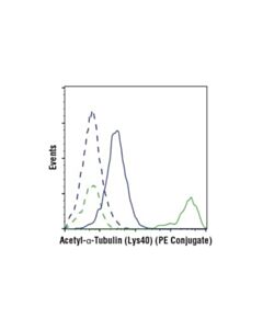 Cell Signaling Acetyl-Alpha-Tubulin (Lys40) (D20g3) Xp Rabbit mAb (PE Conjugate)