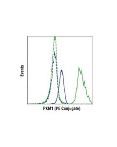 Cell Signaling Pkm1 (D30g6) Xp Rabbit mAb (PE Conjugate)