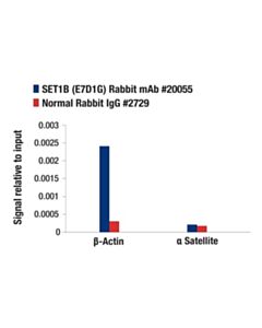 Cell Signaling Set1b (E7d1g) Rabbit mAb