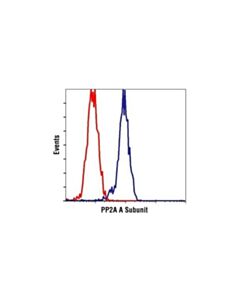 Cell Signaling Pp2a A Subunit Antibody