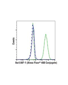 Cell Signaling Iba1/Aif-1 (E4o4w) Xp Rabbit mAb (Alexa Fluor 488 Conjugate)
