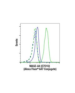 Cell Signaling Mage-A4 (E7o1u) Xp Rabbit mAb (Alexa Fluor 647 Conjugate)